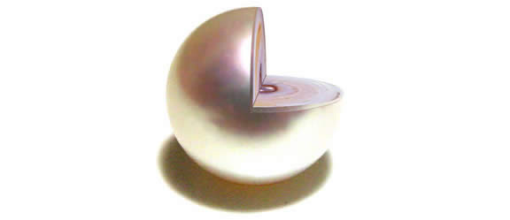 perle en dÿcoupe