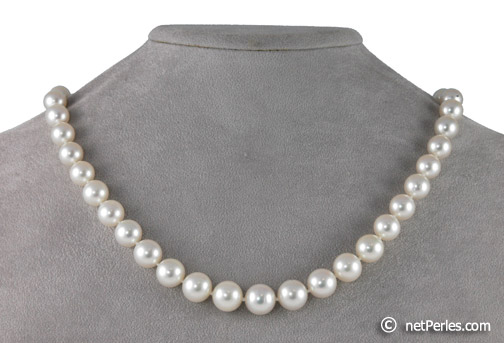 perles blanches d'australie