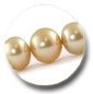 collier de perles d'Australie dor&eacute;es