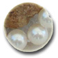 Perles