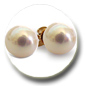 Boucles d'oreilles perles d'Akoya