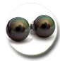 Boucles d'oreilels perles de Tahiti