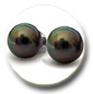 Boucles d'oreilels perles de Tahiti
