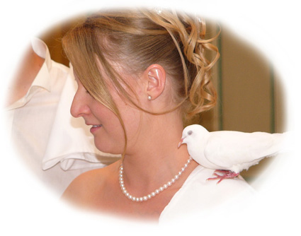 reportage de mariage