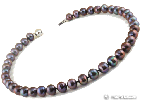 Collier de perles d'eau douce noires 43 cm