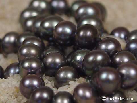 Collier de perles d'eau douce noires de 7 ù 8 mm