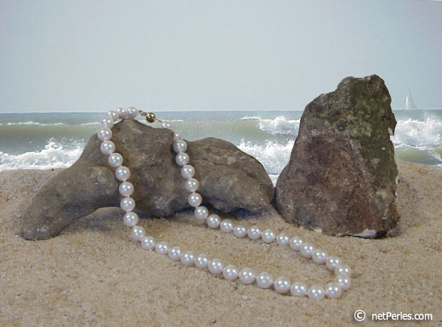 perles d'akoya blanches gros diamĪtre