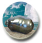 Perles baroque de tahiti de tres gros diam�tre



