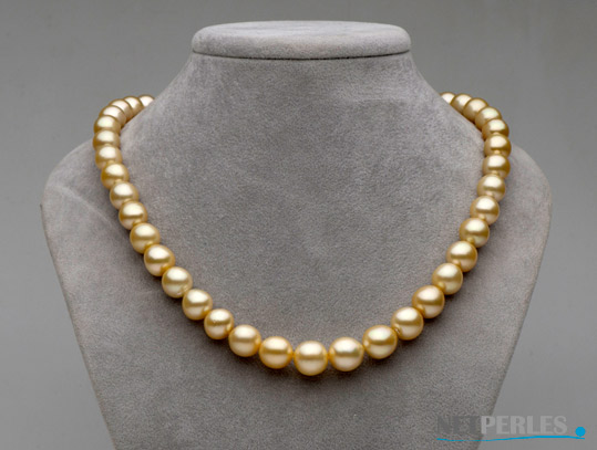Collier de perles d'australie dorees sur buste