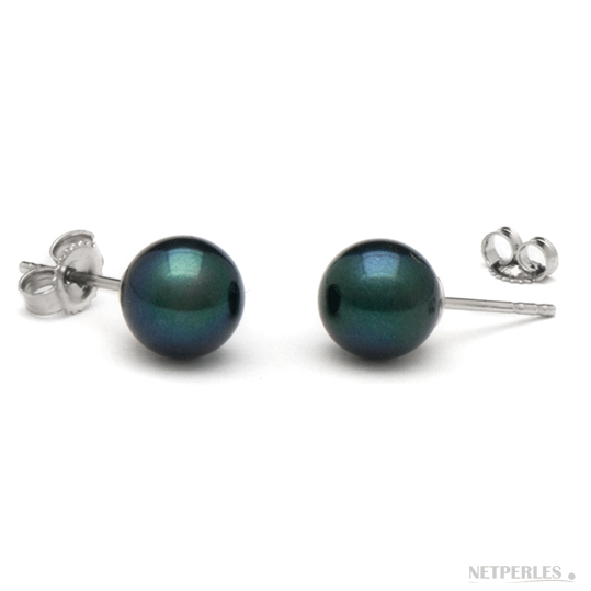 Paire de boucles d'Oreilles de perles de culture d'AKoya noires qualit&eacute; AA+
