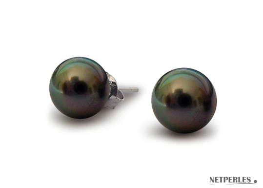 Boucles d'Oreilles de perles de Tahiti noires qualité AAA
