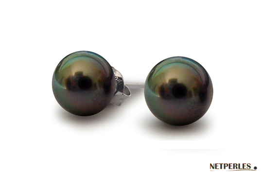 Paire de boucles d'oreilles de perles de culture de tahiti 12 à 13 mm qualité AAA