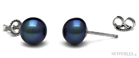 paire de boucles d'oreilles de perles d'eau douce noires qualité AA+