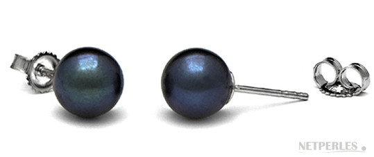 paire de boucles d'oreilles de perles de culture d'eau douce noires