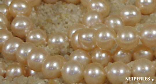 gros plan sur perles d'eau douce peche