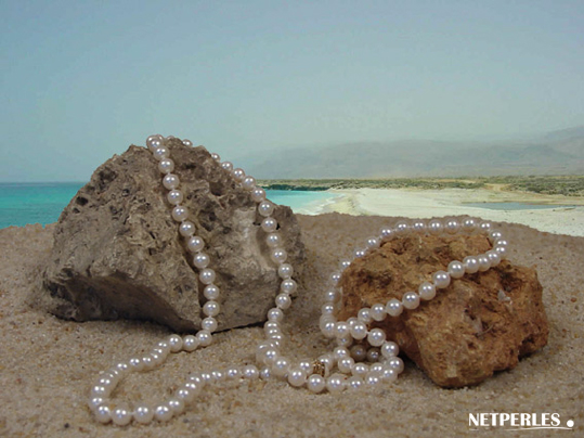 Long collier de perles de culture d'eau douce blanches