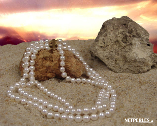 Collier triple rangs de perles de culture d'eau douce blanches qualit&eacute; AA+ ou AAA