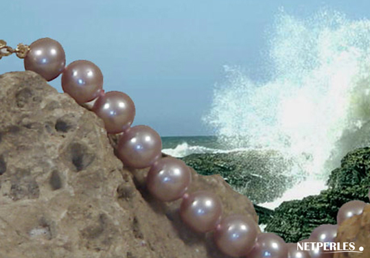 gros plan de perles de culture d'eau douce lavande