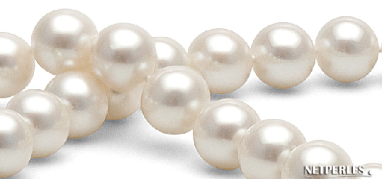 gros plan sur les perles d'eau douce blanches