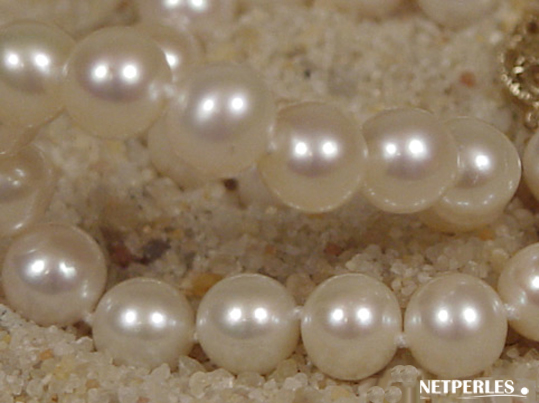 gros plan de perles de culture d'eau douce blanches