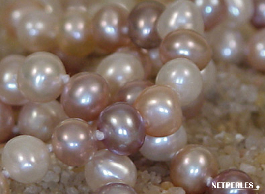 Gros plan sur les perles d'eau douce multicolores