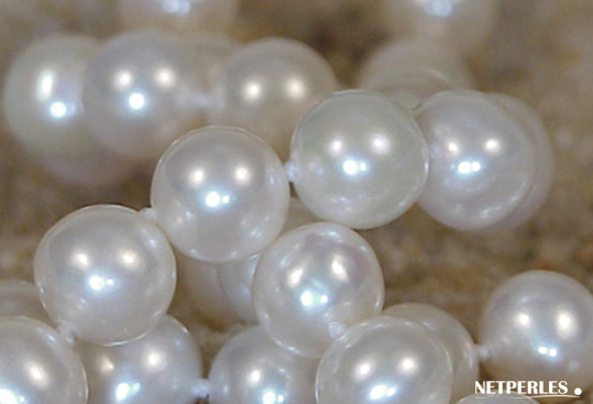 gros plan sur les perles de culture d'eau douce de grosses dimensions