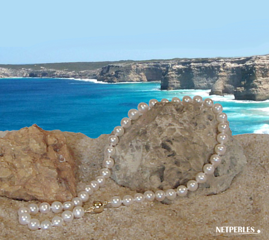 Collier de grosses perles de culture d'eau douce blanches