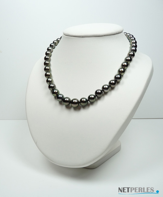 Collier de perles de tahiti, qualit&eacute; AA+/AAA teinte paon, 8 &agrave; 11,2 mm sur 45 cm