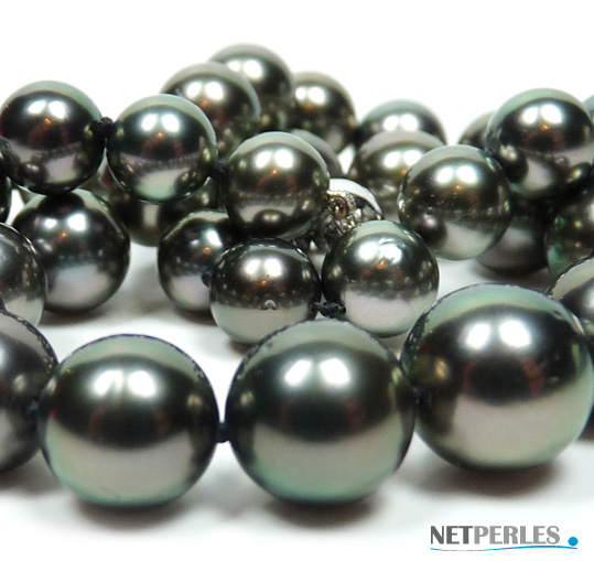 gros plan sur des perles de tahiti, qualit&eacute; AA+/AAA couleur Paon diametre 8 &agrave; 11,2 mm