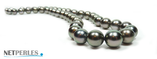 Collier de perles de culture de tahiti, couleur paon, longueur 45 cm, collier haut de gamme luxe et prestige