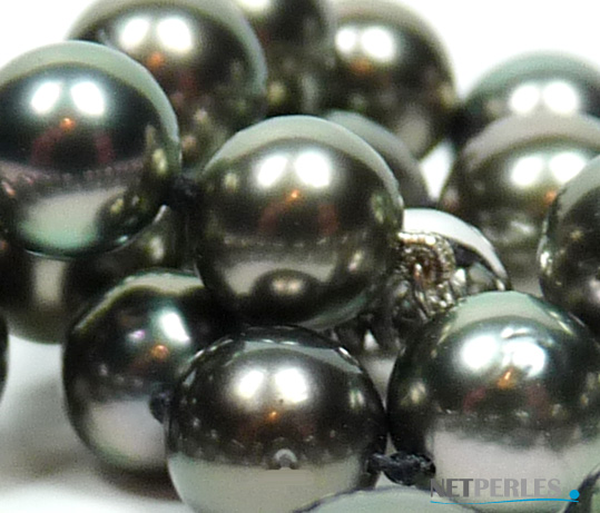 Reflets extraordinaires sur perles de tahiti dont le lustre est intense; qualit&eacute; AA+/AAA couleur Paon