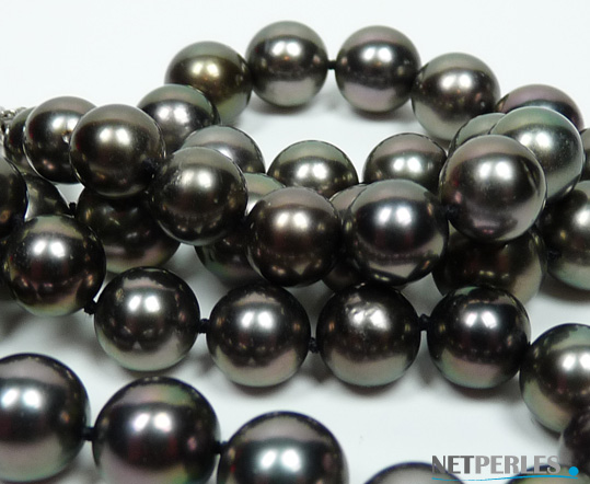gros plan sur perles noires de tahiti, perles de culture de luxe