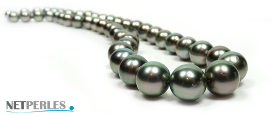 Collier de perles de culture de Tahiti teinte Vert Amande qualité AA+/AAA