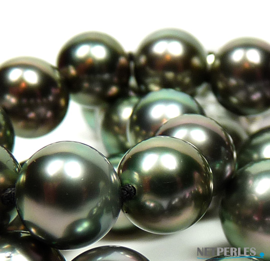 perles de tahiti vu de tres pres, les détails du lustre, des reflets, de la teinte