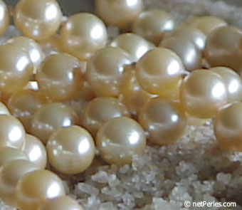 perles_ES10_114_7.jpg