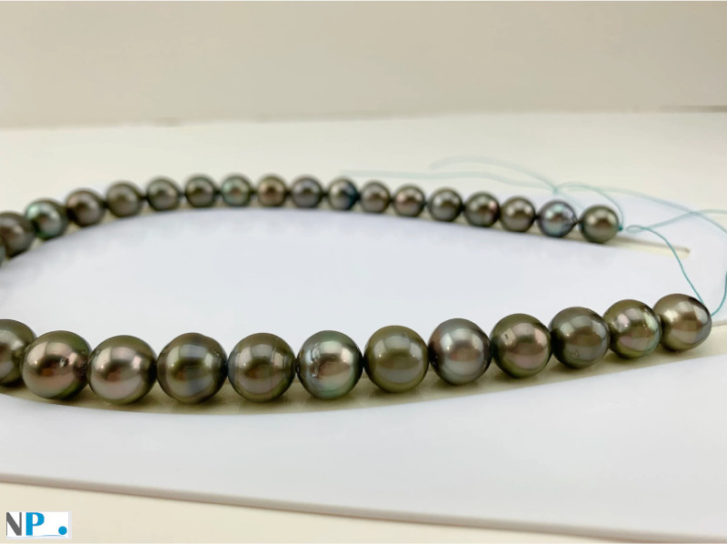 Collier de perles noires de tahiti
