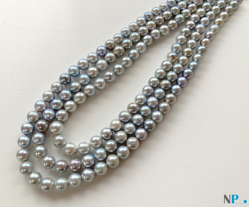 Collier de perles d'Akoya bleues argentées 7,5-8 mm 