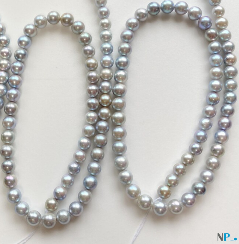 Collier de perles d'Akoya bleues argentées 7,5-8 mm 