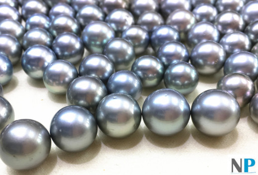 Perles de Tahiti de couleur Gris Argenté avec légères particularité de surface de qualité AA très beau lustre