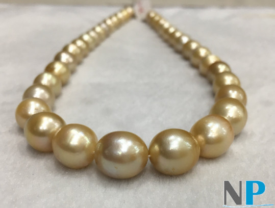 Collier de perles dorees des mers du sud, longueur 43/44 cm, perles baroques d'Australie