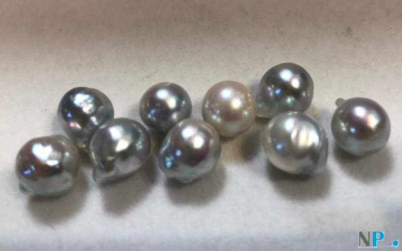 Perles de culture d'Akoya bleues argentées Baroques, non percées