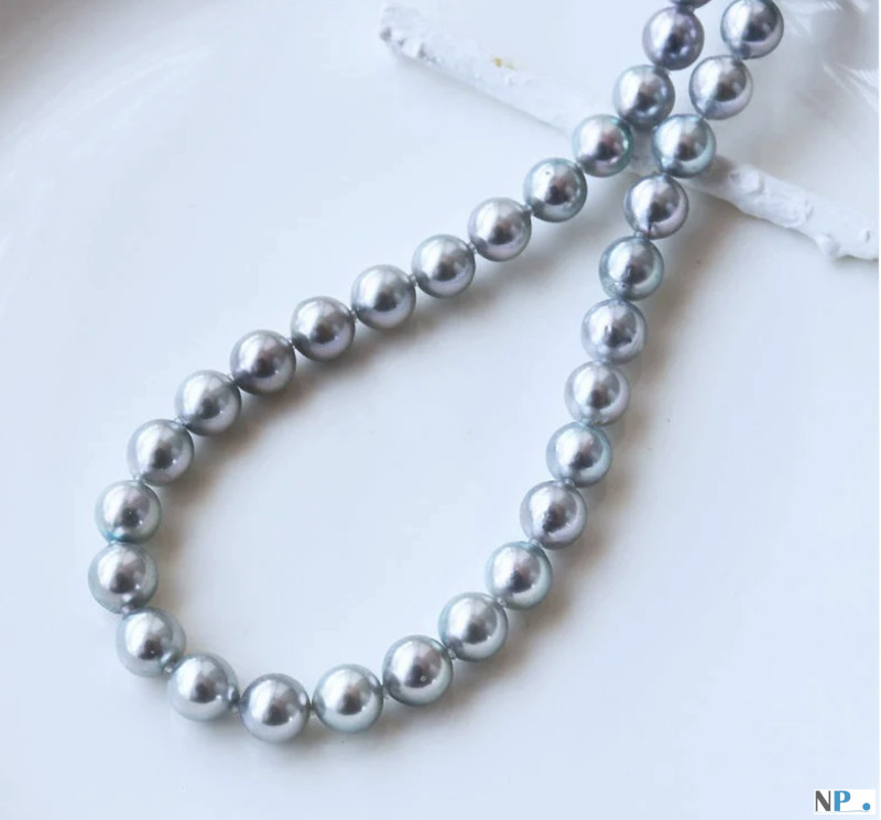 Collier de perles d'Akoya bleues argentées Collier de perles d'Akoya bleues argentées