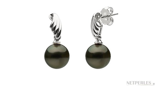 Boucles d'oreilles de perles de Tahiti 8-9 mm AAA en or Gris