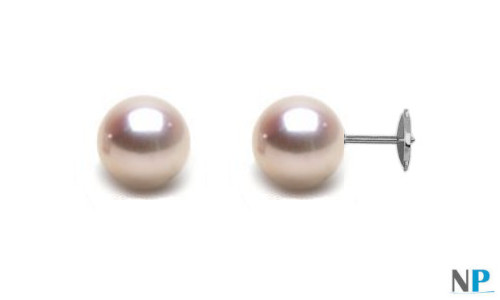 Boucles d'oreilles de perles de culture Akoya avec système GUARDIAN de sécurité en Argent ou Or Gris 18k