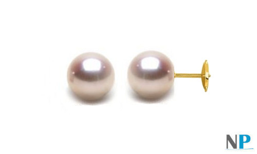 Boucles d'oreilles de perles de culture Akoya avec système GUARDIAN  en or jaune 18k