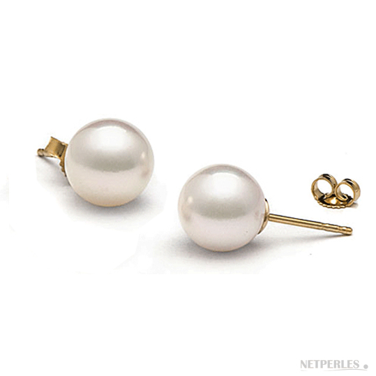 Wholesale AAA AKOYA 9-10 mm blanc perle Boucles d'oreilles 14k Or Blanc 