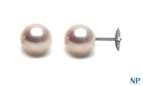 Boucles d'Oreilles perles d'Akoya blanches 7,5 à 8 mm sur système Guardian en Argent 925