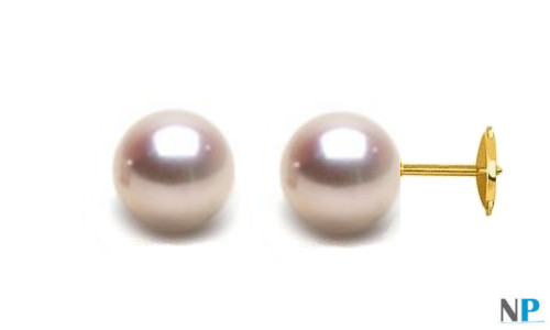 Boucles d'Oreilles perles d'Akoya blanches 7,5 à 8 mm sur système Guardian en or jaune