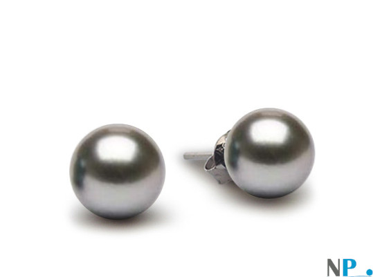 Perles de Tahiti Gris Argent qualité AAA