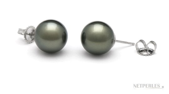 Boucles d'oreilles de perles de Tahiti 12 à 13 mm 